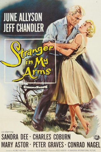 Poster of A Stranger in My Arms