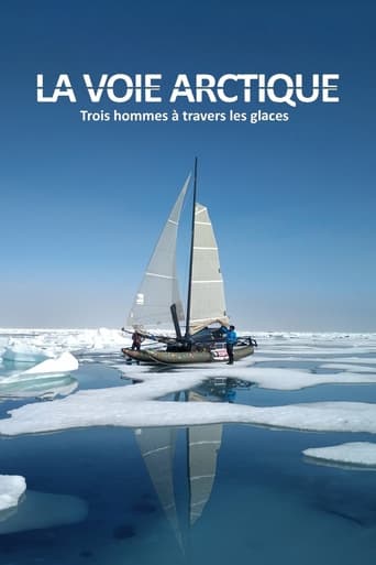 Poster of La Voie arctique - Trois hommes à travers les glaces