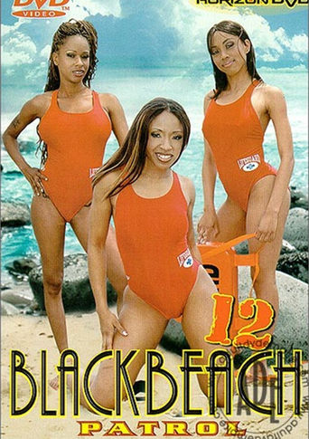 Poster of Black Beach Patrol 12