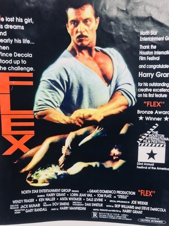 Poster of Flex