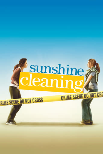 Poster of Sunshine Cleaning