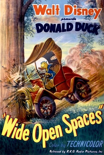 Poster of Wide Open Spaces