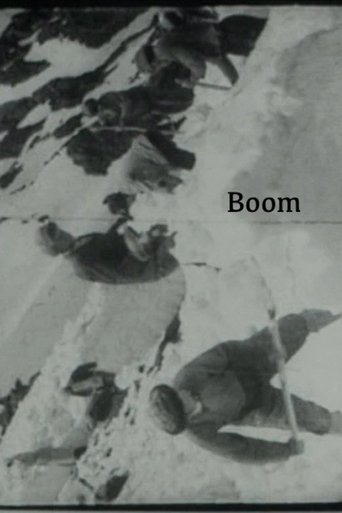 Poster of Boom