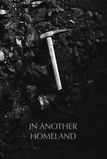 Poster of In Another Homeland