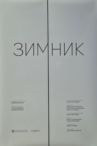 Poster of The Winter Road