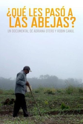 Poster of What Happened to the Bees?