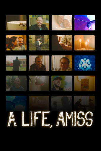 Poster of A Life, Amiss