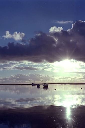 Poster of Estuary