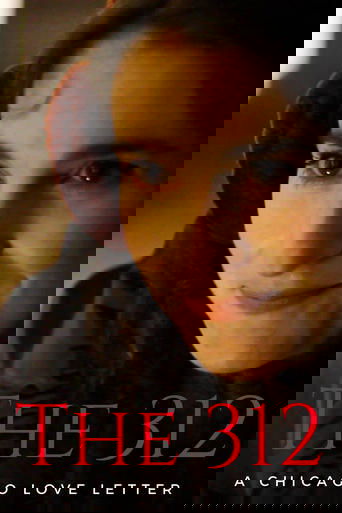 Poster of The 312