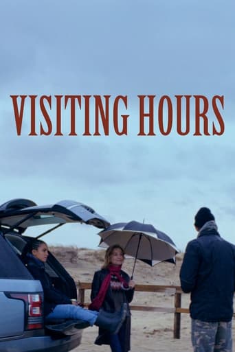 Poster of Visiting Hours