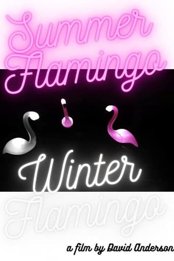 Poster of Summer Flamingo Winter Flamingo