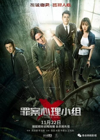 Poster of Visible Lie