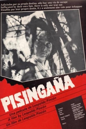 Poster of Pisingaña