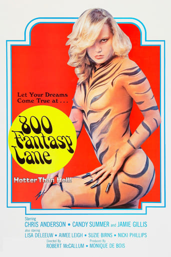 Poster of 800 Fantasy Lane