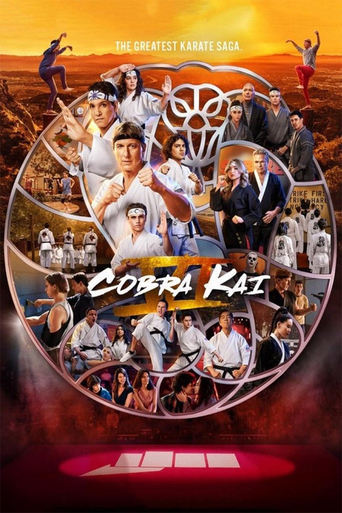 Poster of Cobra Kai VI: The Dojo Behind the Scenes