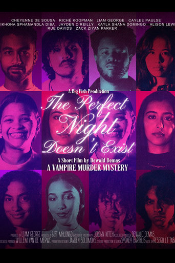 Poster of The Perfect Night Doesn't Exist