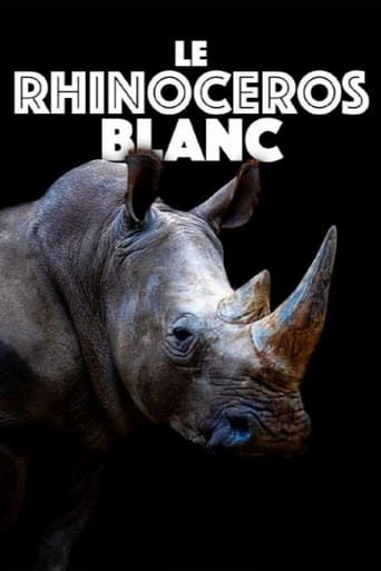 Poster of Le rhinocéros blanc