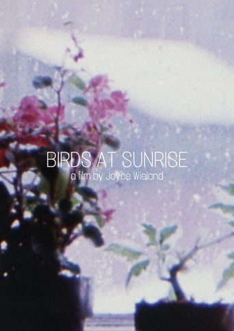 Poster of Birds at Sunrise