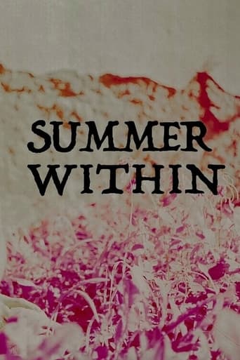 Poster of Summer Within