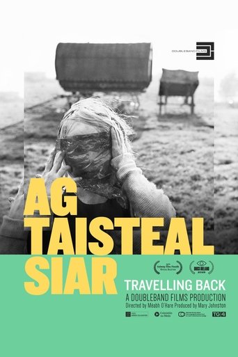 Poster of Travelling Back