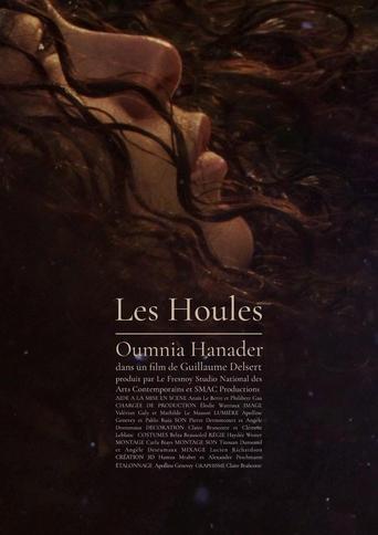 Poster of Les Houles