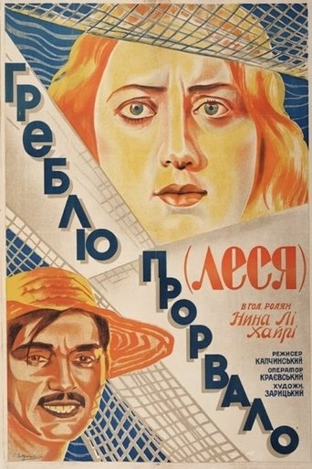 Poster of The Dam Is Broken