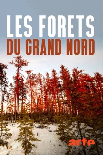 Poster of Les forêts du Grand Nord