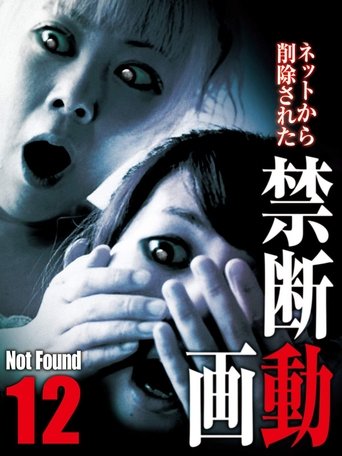 Poster of Not Found 12