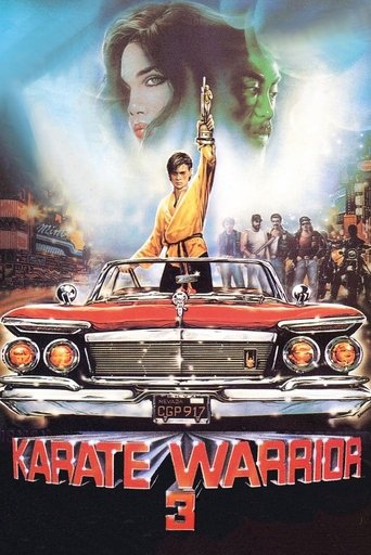 Karate Warrior 3 Poster of Karate Warrior 3
