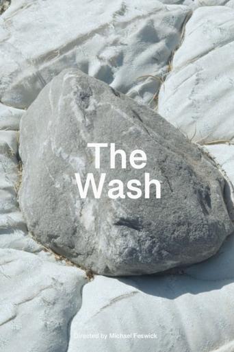 Poster of The Wash