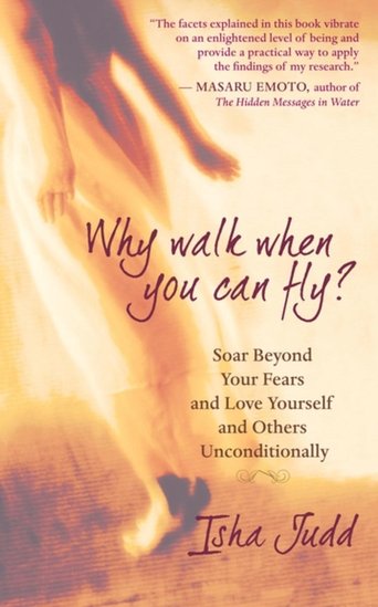 Poster of Why Walk When You Can Fly? The Movie