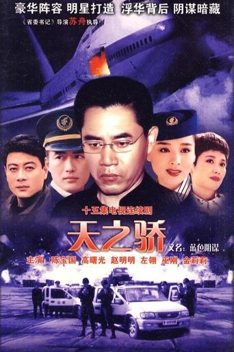 Poster of 中国空姐