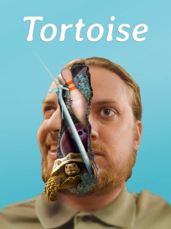 Poster of Tortoise