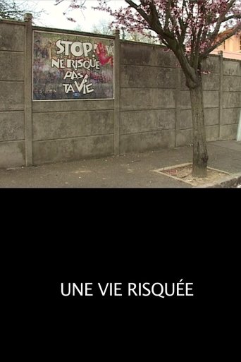 Poster of Une Vie Risquée