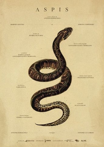 Poster of Aspis