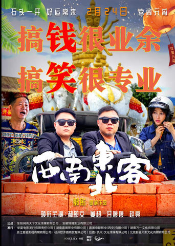 Poster of 西南东北客