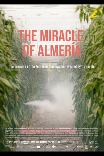 Poster of The Miracle of Almería