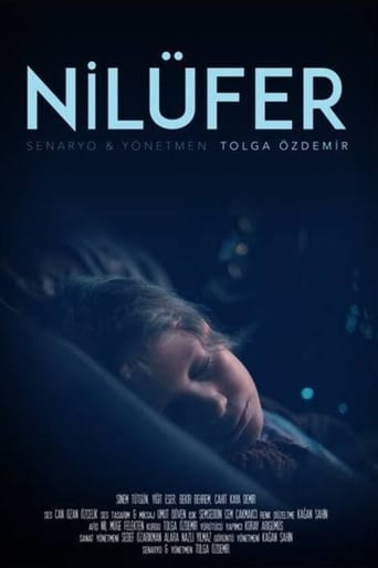 Poster of Nilüfer