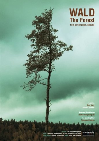 Poster of WALD - The Forest