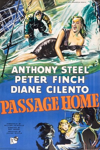 Poster of Passage Home