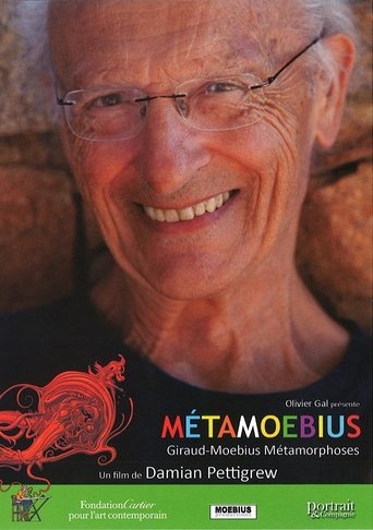 Poster of MetaMoebius