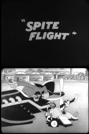 Poster of Spite Flight