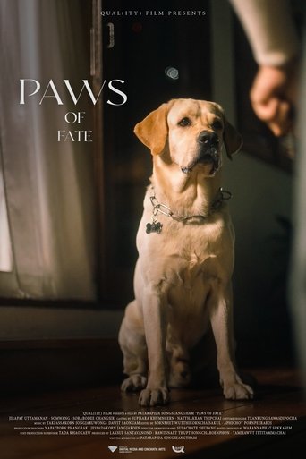 Poster of Paws of Fate