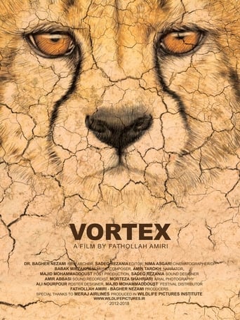 Poster of Vortex