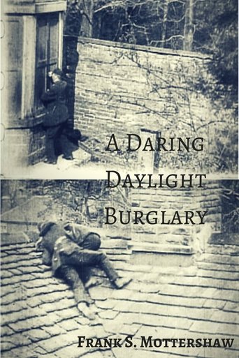 Poster of A Daring Daylight Burglary