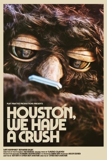 Poster of Houston, We Have a Crush