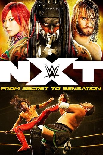 Poster of NXT: From Secret To Sensation