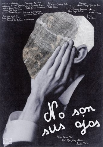 Poster of No son sus ojos