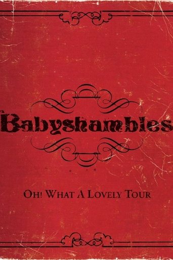 Poster of Oh! What a Lovely Tour - Babyshambles Live