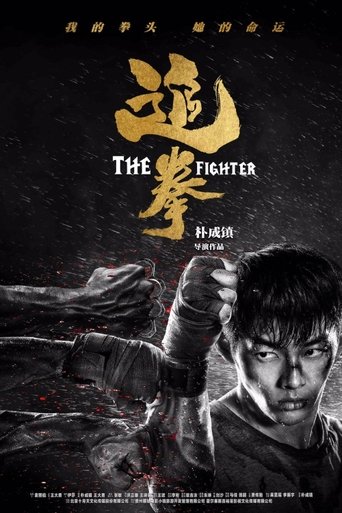 Poster of The Fighter